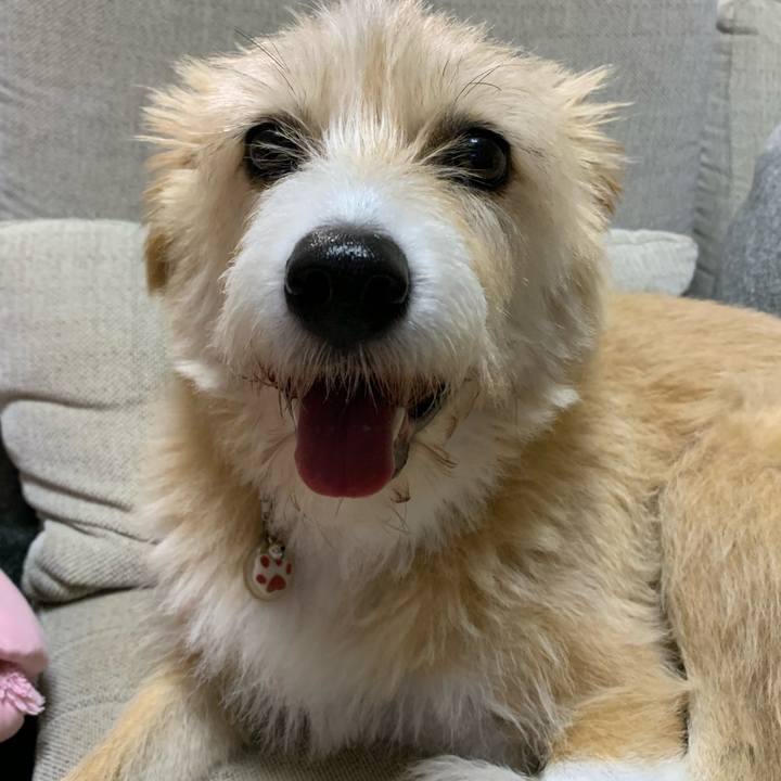 Cf00743a d4b3 4cd5 aed2 975ede6b2356 1598869710148