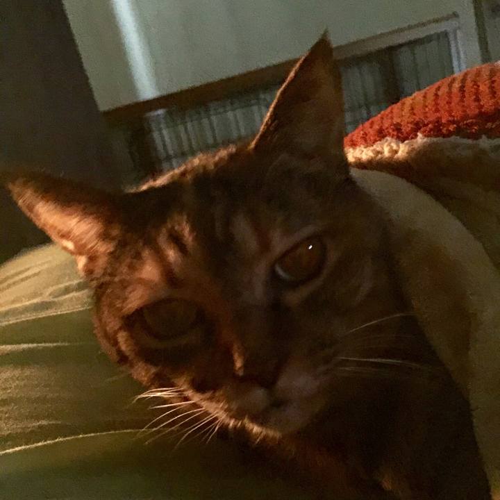 Cf00a61d 42d0 493a 90ef 00242cd68b57 1511340612836