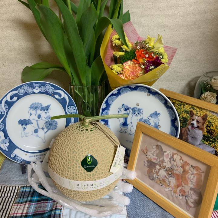 Cf00bf01 66ef 43e0 9d50 e137f653750d 1613562822013