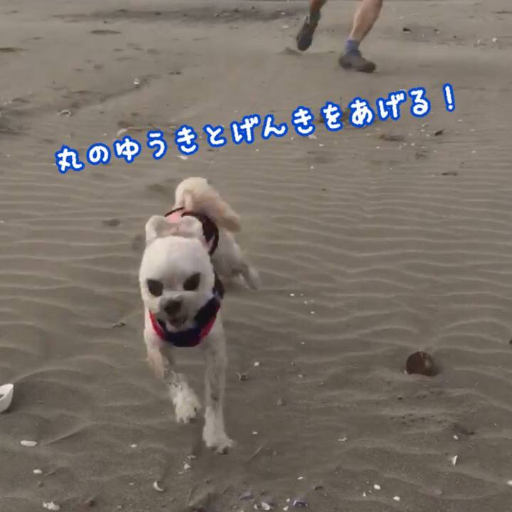 Cf00d79f 8f95 4215 b325 020a07789f2b 1526989249176