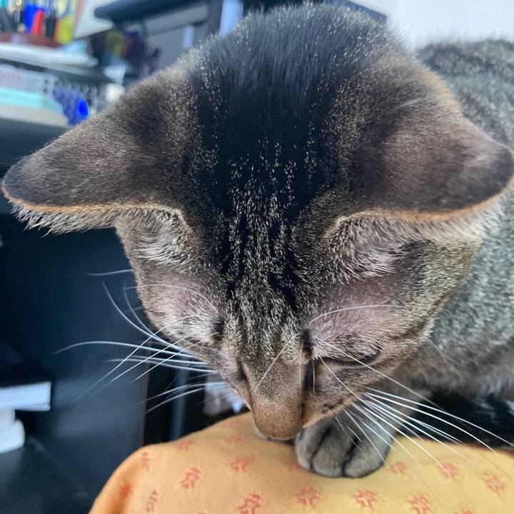 Cf0133d9 8419 42e8 a49d c4c8b2ba231e 1769297232231