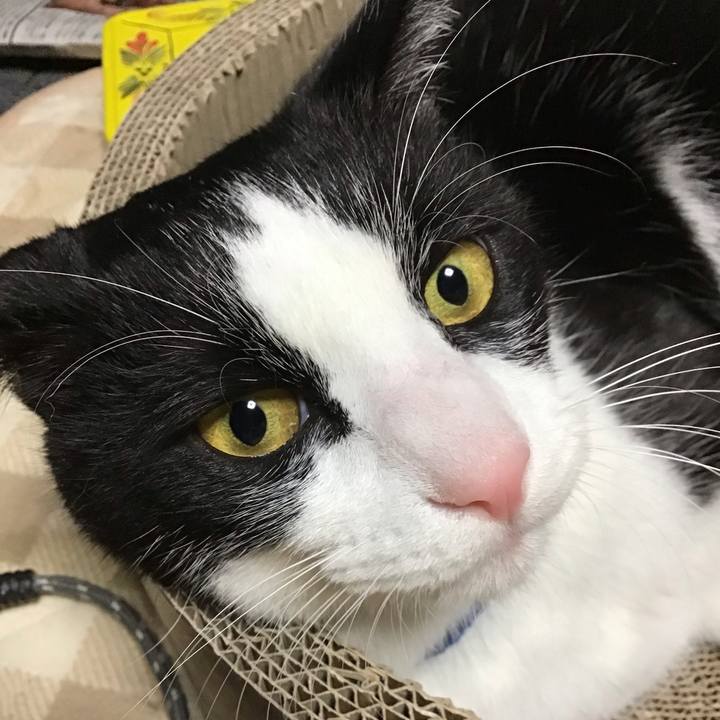 Cf0134ad 50e1 469e 9b70 ad4adabefd5c 1701936983519