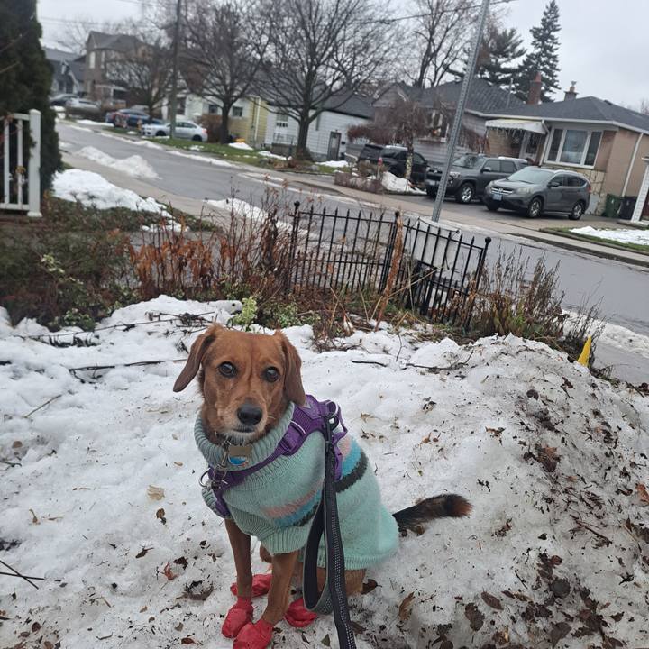 Cf018642 053a 4b6c b33d deaf5c2e13f3 1766157021192