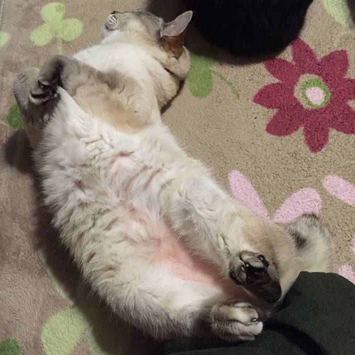 Cf01910e 8ca2 425b 9a31 55fdffd68ca5 1527421969392