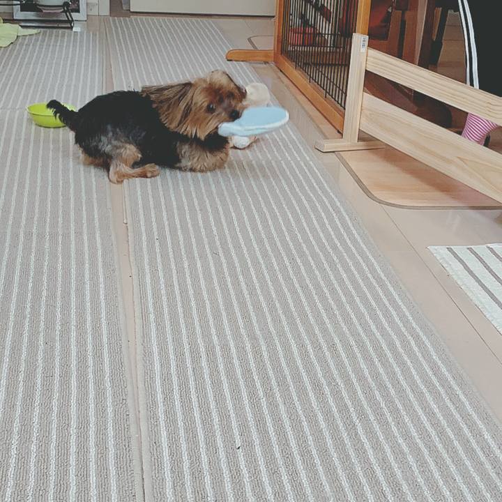 Cf01a15a 1653 4705 b341 997851fd01f9 1579840031033