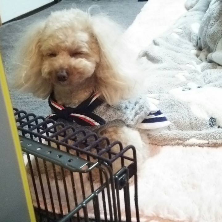 Cf01a99f 56bb 4d58 b989 31ae9bdd5f93 1519910625660