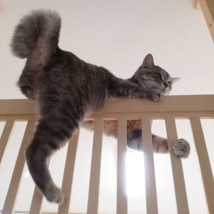 Cf01d94f ce0c 4558 8484 f42d372ba582 1717740898026