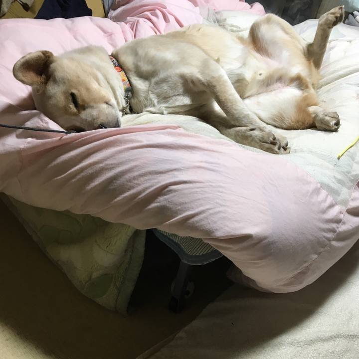 Cf022be5 9da0 4b67 b218 2263e6c3d051 1516974851025