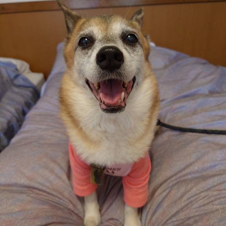 Cf02445a cc9c 4d71 aec5 7e179eab091d 1632191847095