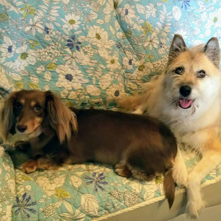 Cf0266d4 f71e 4054 bae3 cfec0e696179 1536369077997