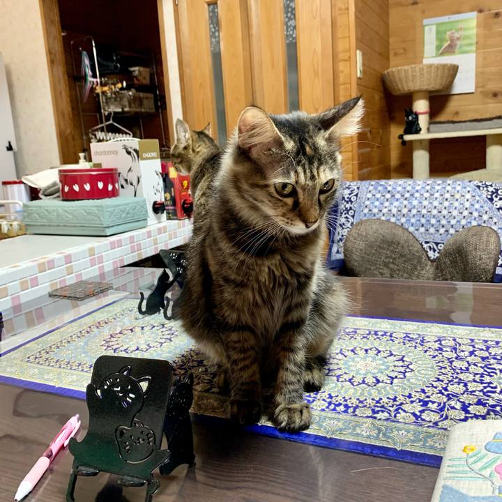 Cf026e62 de0e 4e7d 9ad0 07863139ac99 1651928537985