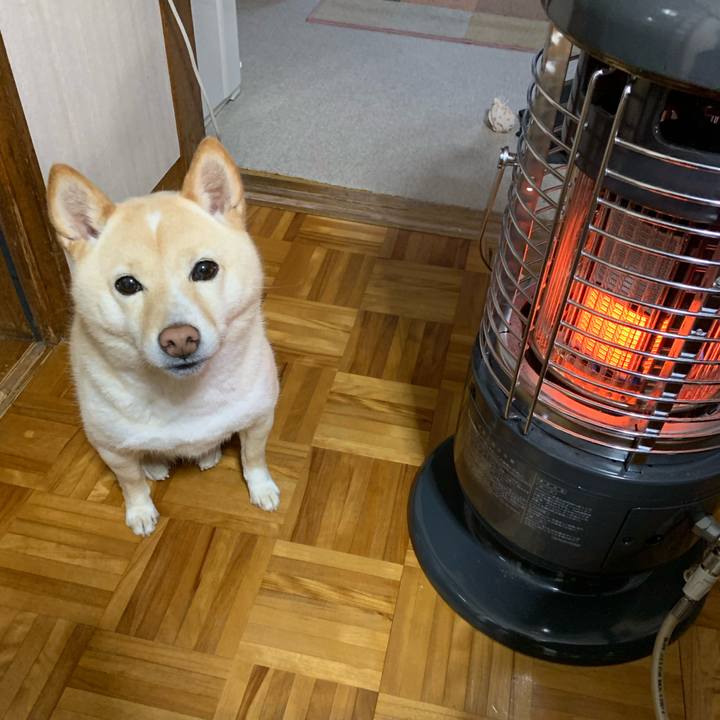 Cf02a7d9 26c1 4cc0 b091 696252f9ac37 1643149912034