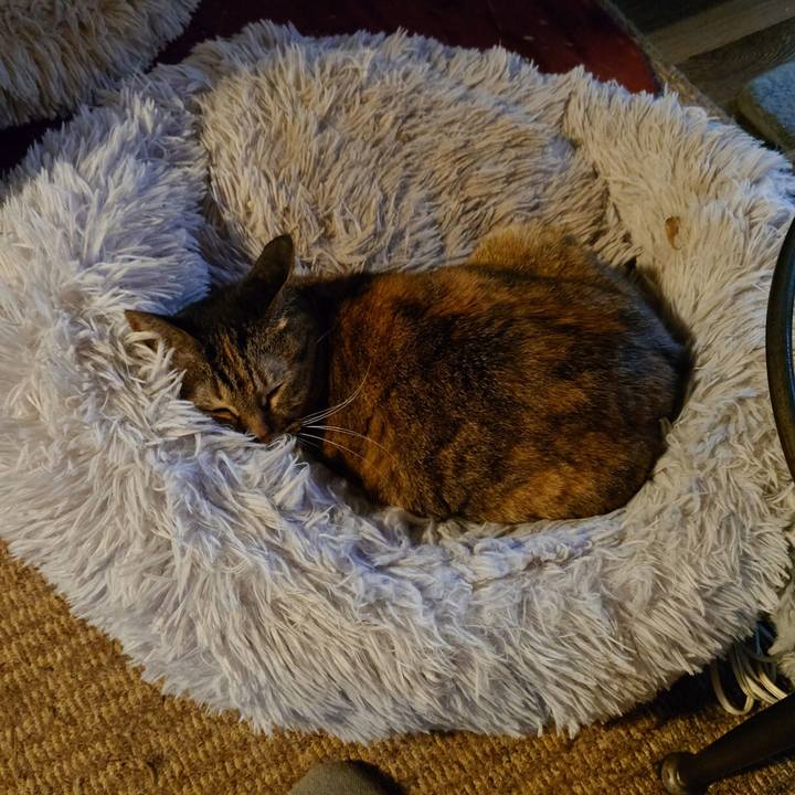 Cf02b390 88eb 4c51 846b 9d6849d72d42 1761460116997