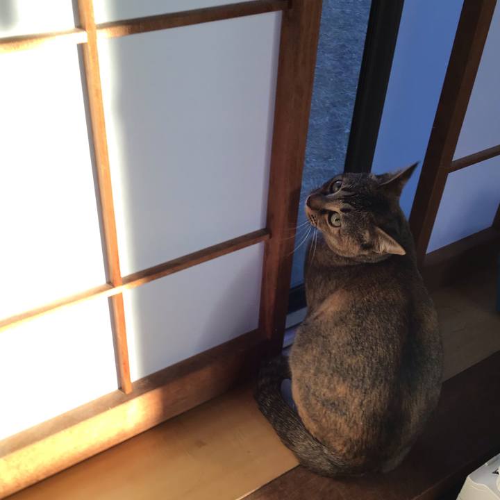 Cf02cb40 46fb 4315 adbd 633997472122 1580893127896