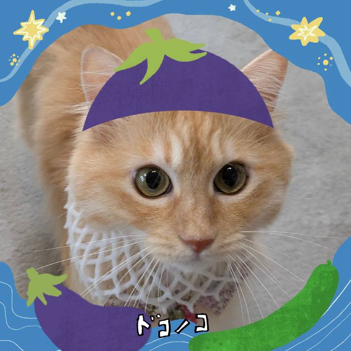 Cf02d3e3 c947 400f 8975 dc23e1f0ec7a 1755058317304