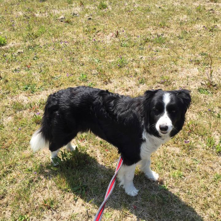 Cf02d803 4130 4eb8 b826 8bd5d4990b86 1554712593367