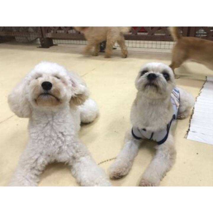 Cf02f97c a159 4af7 95ba 10ffbff0cac4 1536229451226