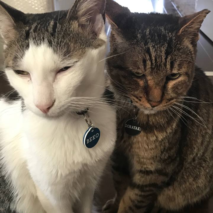 Cf032300 d1c0 4d0f 9369 ce9e1e7982bf 1525010878286