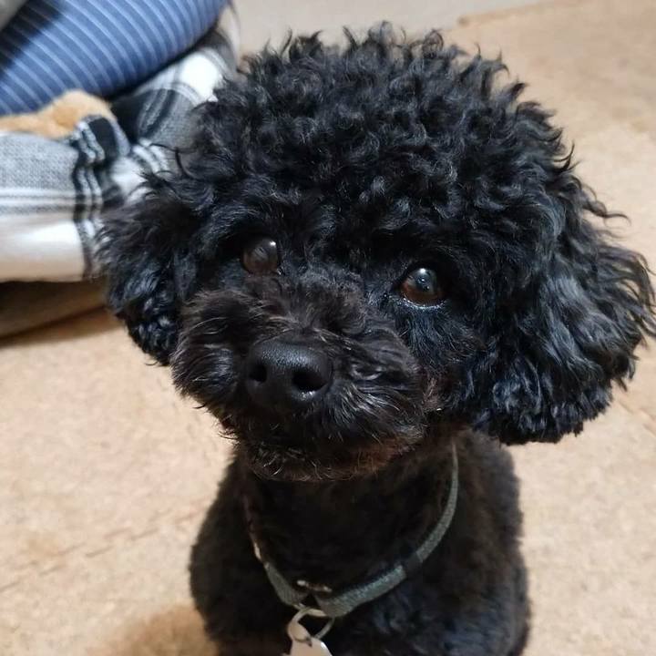 Cf032a01 b147 4b39 9959 8c1db622af6f 1585075774796