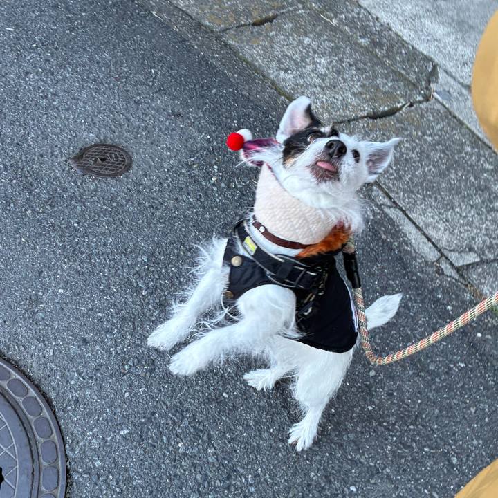 Cf0331fc 5572 4b39 8a16 998d8445c90d 1767054513193