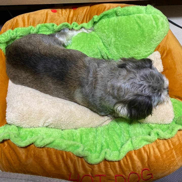 Cf035373 b977 452c beb8 011176657a92 1635565235614