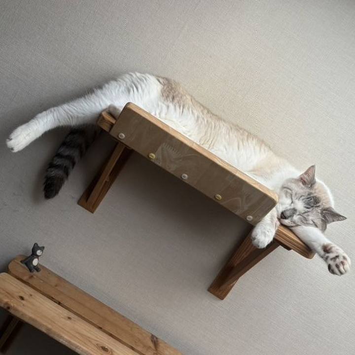 Cf0358df 82ab 4f85 ac4c e399a861a72e 1726362179736