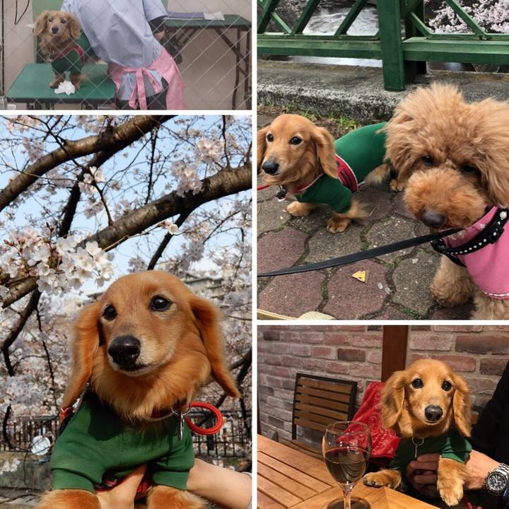 Cf03a50a 9523 4a2c aded fe8e4180f904 1554609659633