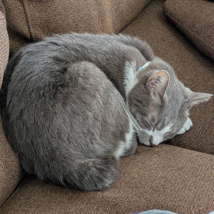 Cf03ac2c fb7a 4718 9104 65f752c512ca 1733805112879