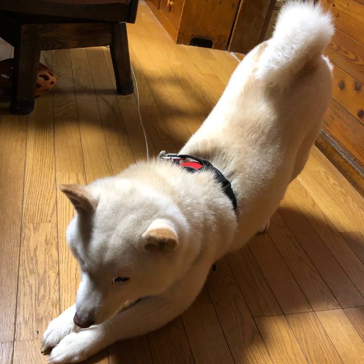 Cf03ba56 d187 45ad 9749 98f0db4237c3 1609921957898