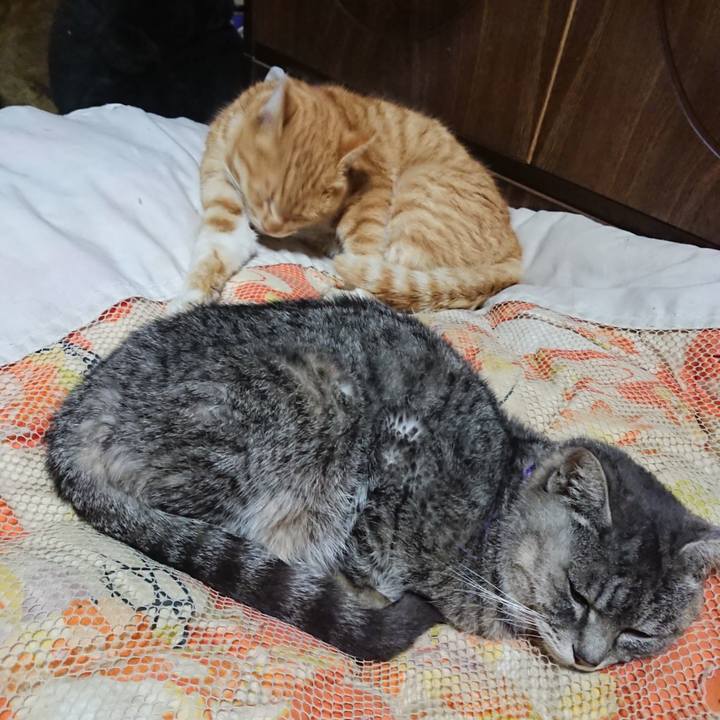 Cf03ec52 98a7 4b6d bd68 fe0ce41e4c93 1581598286996