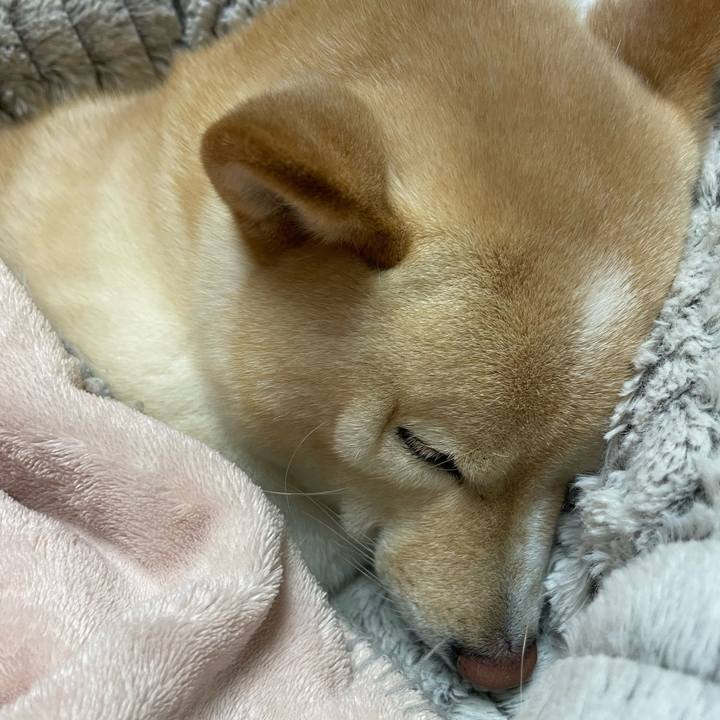 Cf03fbe7 a5b8 437b 9b2d 339bc30aad9e 1673959112769