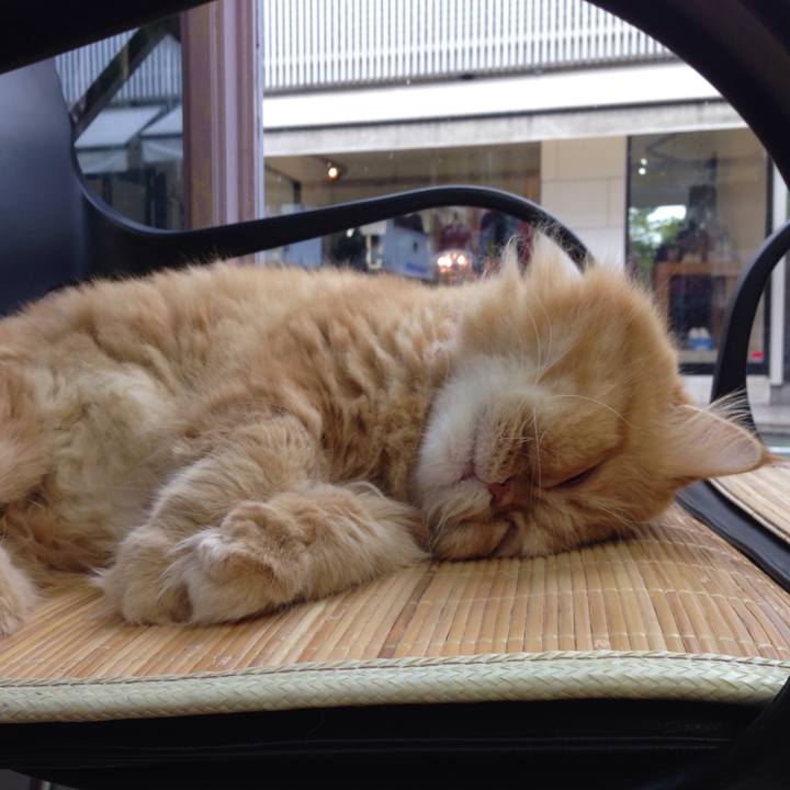 Cf03fdc4 6f54 44a7 91a0 be4986171e4a 1508469124156