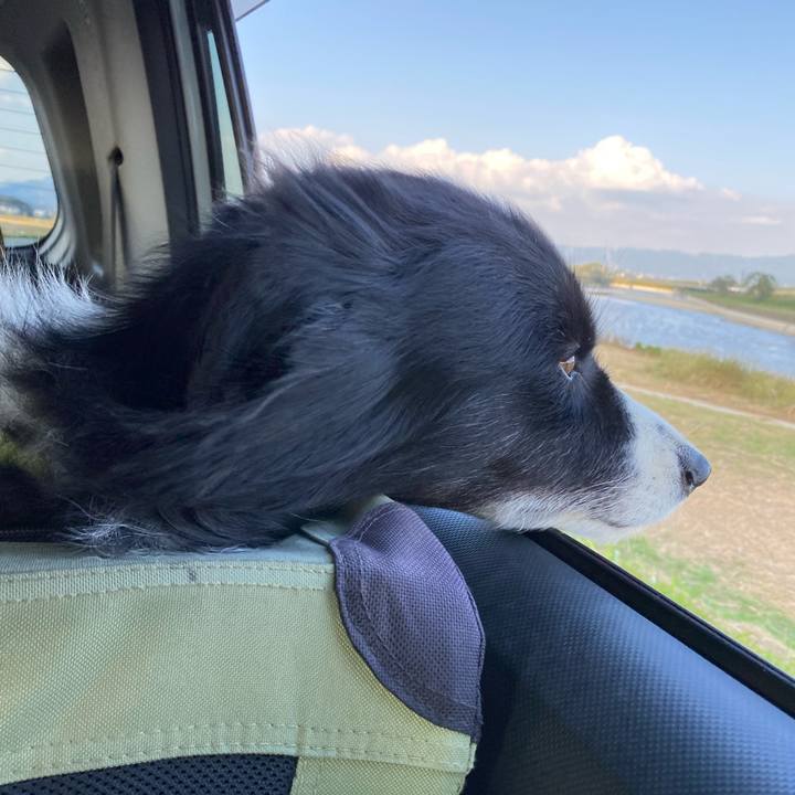 Cf043294 e706 4748 9b8e 75d698ace25d 1635661530603