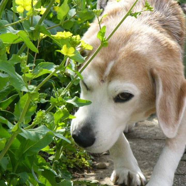 Cf0446b6 e934 492f a58d 803d91d45052 1680139552441