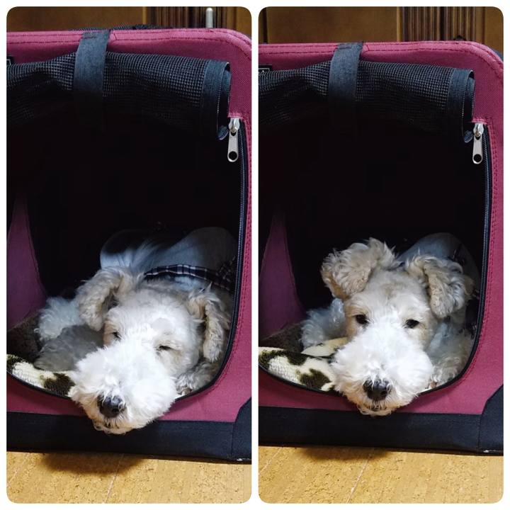 Cf046243 a963 4694 a71a 0d742473f9e0 1556718053293