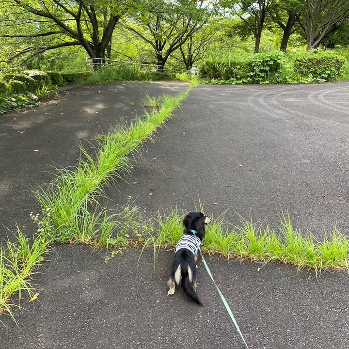 Cf0468dc 0e6e 4e43 bd4b dce6c89e30c2 1720564710515