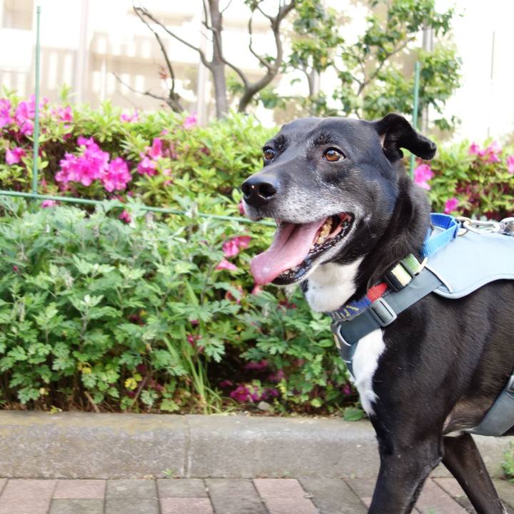 Cf04b55e e2ee 4b56 a311 c9750645657f 1714699362753