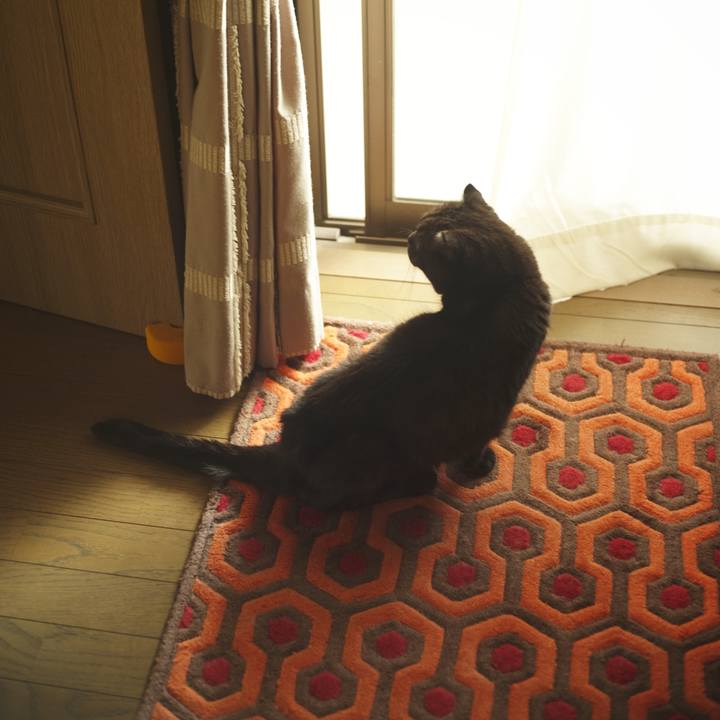 Cf04d4c8 590c 48b4 a6f4 62cf4876ab8c 1627114914393