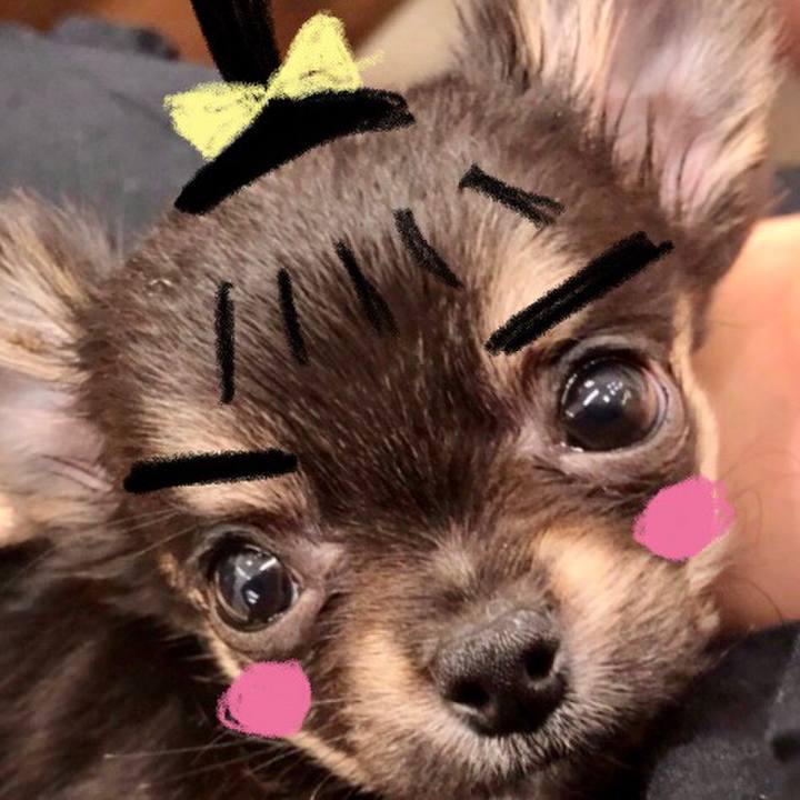 Cf04def4 4f99 42ef 9027 b5f56cbfbf71 1599958572320