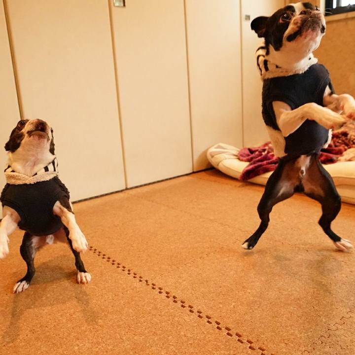 Cf04f090 c75d 4f32 885b 4f63d22166cc 1510636762171