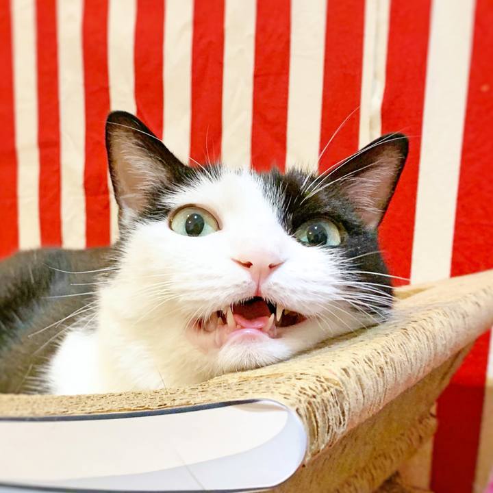 Cf050a75 d9c4 49b6 bb5b 789f4f619034 1569198167867