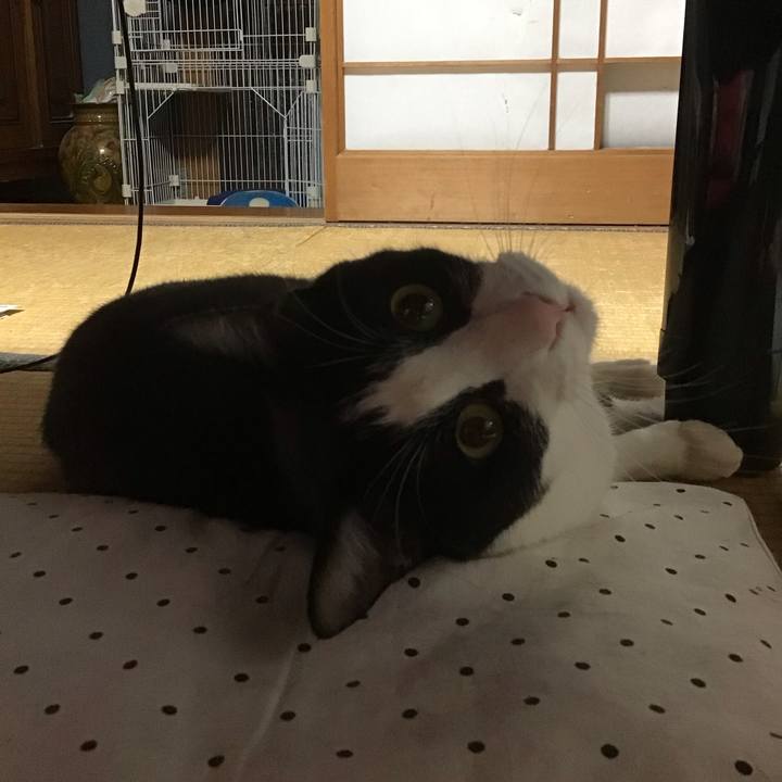 Cf05138d 79f1 48f5 9acc 16c541f6c249 1688388598984