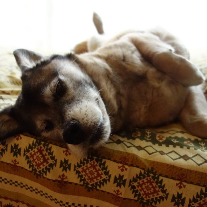 Cf053191 ee96 4440 8542 b9fb09b5eea3 1668904882749