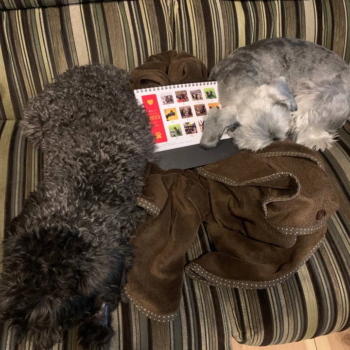 Cf054cb2 c9a3 4231 81c0 d575612c98f2 1671233427732