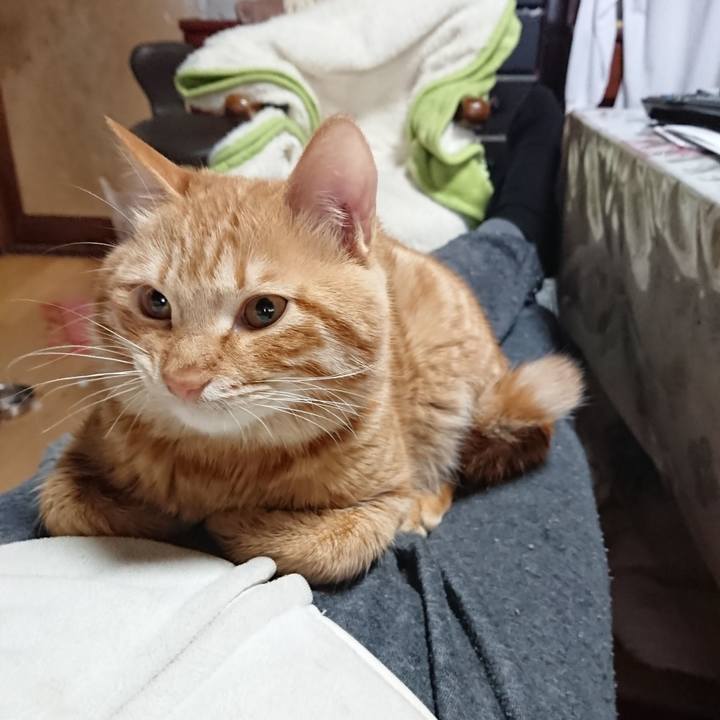 Cf054d31 ec35 4c80 975c 81cb47281934 1640931806719