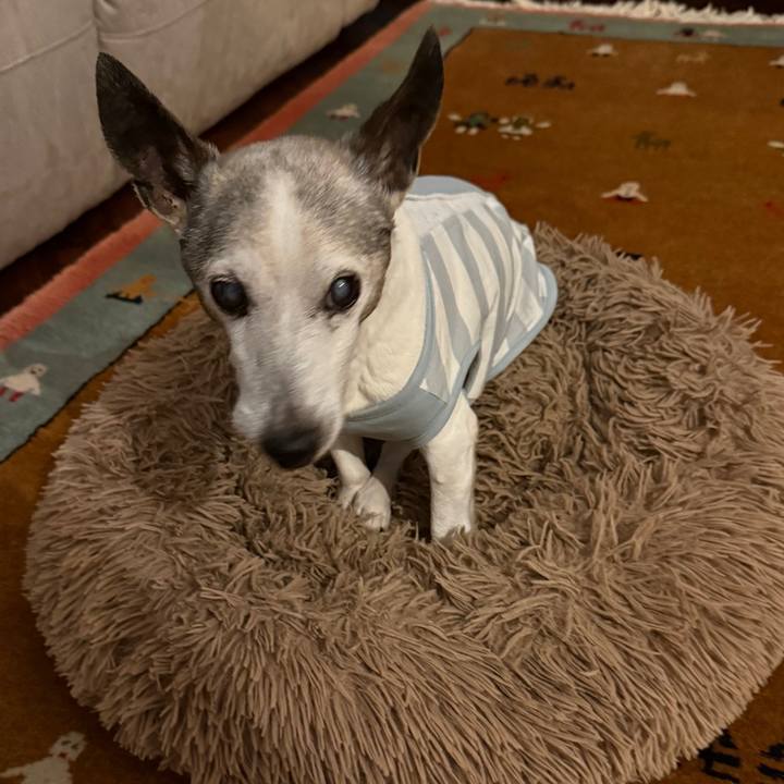 Cf05722f 24b3 41dd aacf 1108e0bb5379 1764058579523