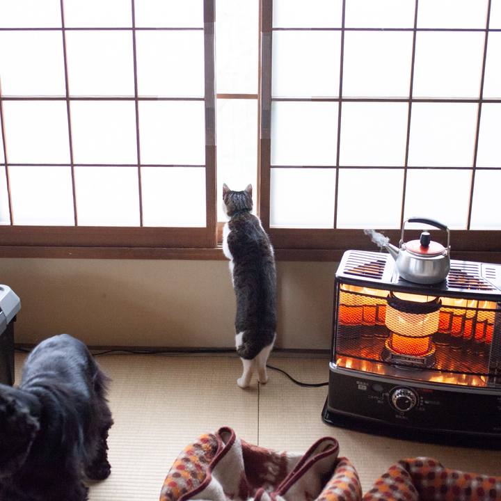 Cf05a53a 1485 408e a239 5977e4f3ea7a 1550202521627