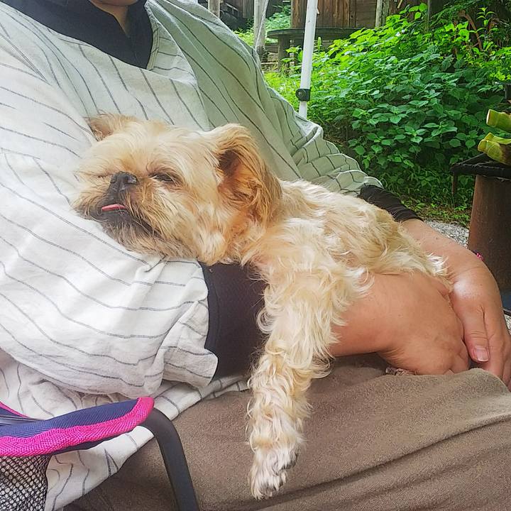 Cf05b610 6a79 45d5 8dac b70a1c3258b5 1561770709997