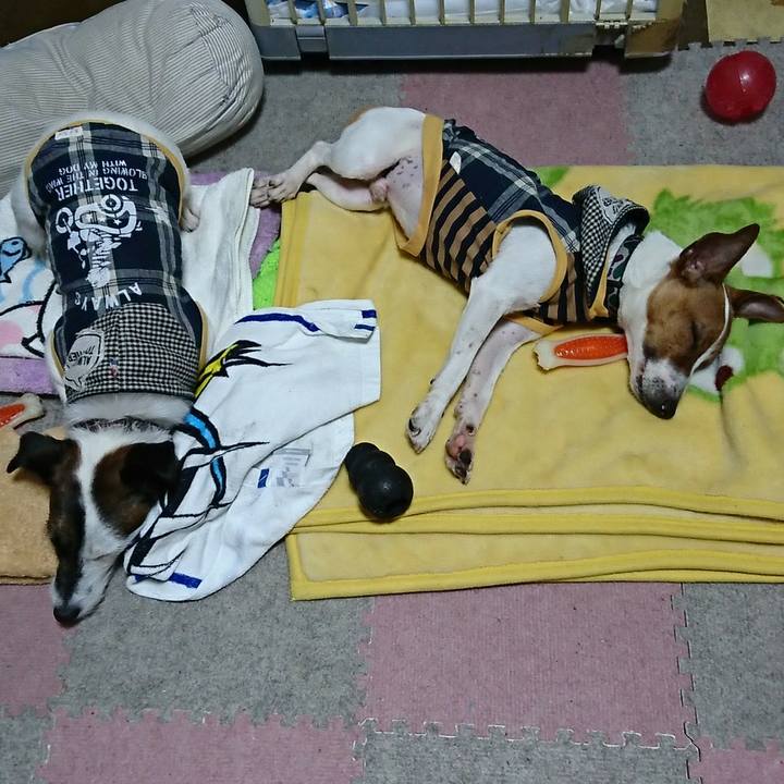 Cf05bc82 3556 427f a44d 2b9abdbb755a 1527338963561