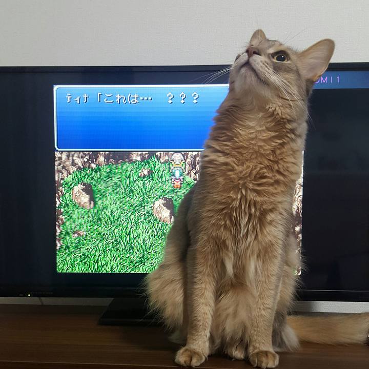 Cf060fdc 6bfa 4aa0 9c2f 8b159377c01b 1516621018848